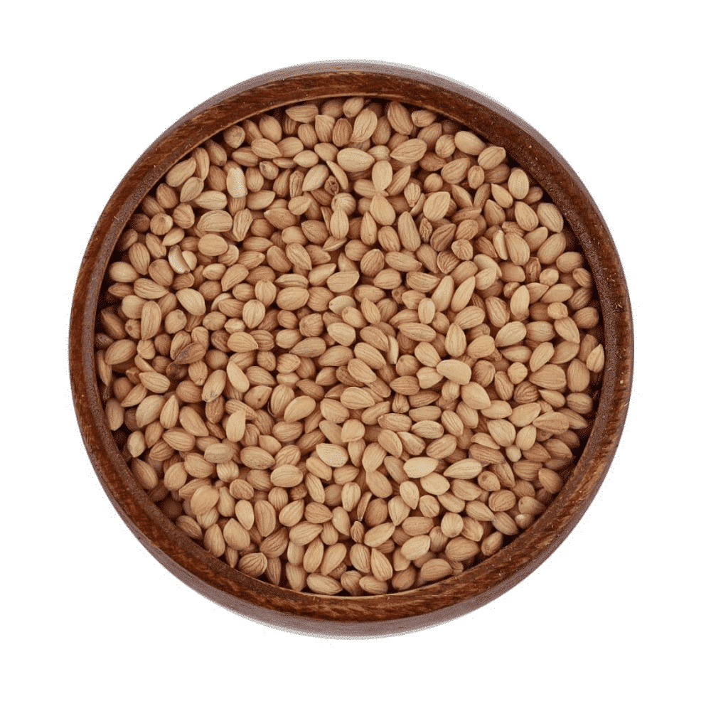 بذور المحلب TurkHerb ترك هيرب للنكهة العطرية ودعم الهضم 100 غرام لتوديع طعم الحلويات الباهت والانتفاخ